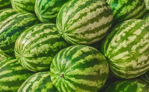 吃瓜官网地址是什么,一网打尽娱乐圈最新资讯的神秘平台